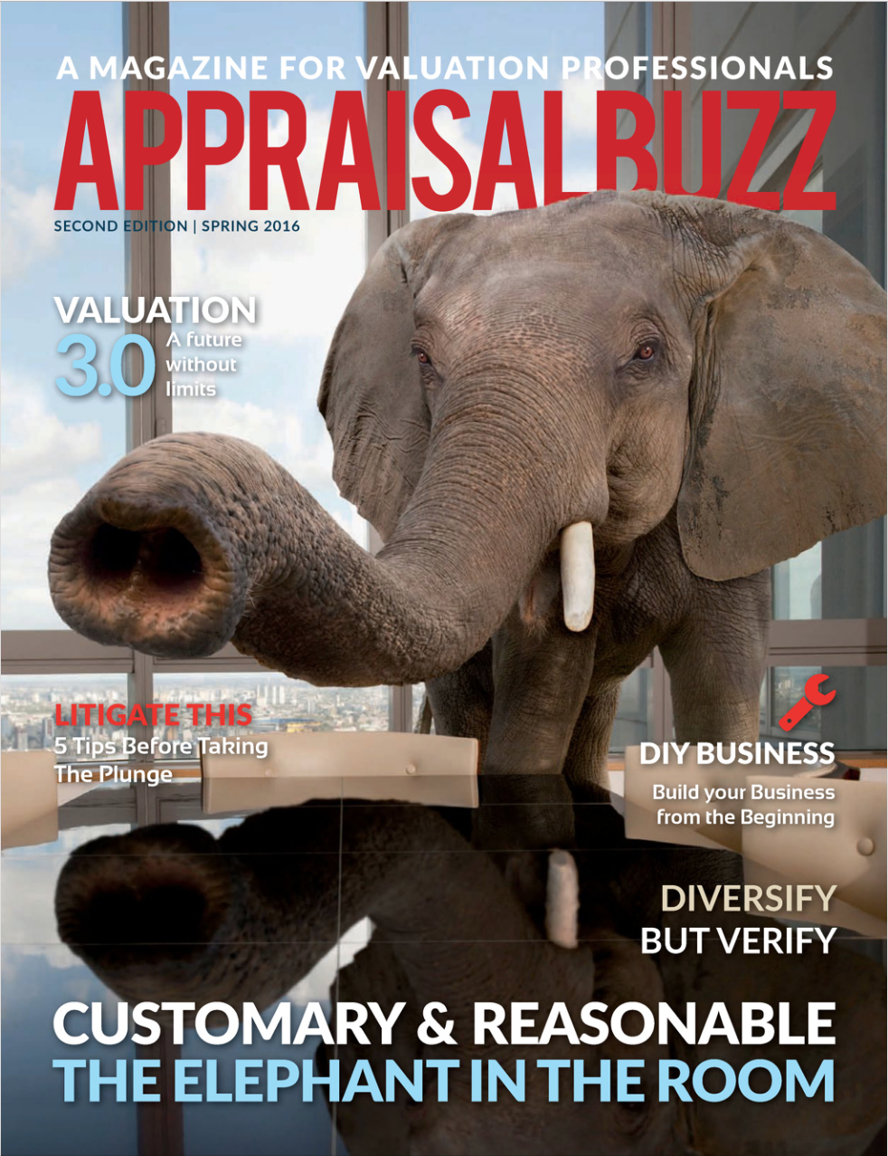 Appraisal Buzz Magazine Spring 2016